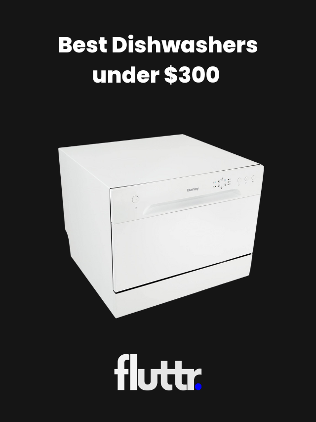 Best Dishwashers under $300 (Best Budget Dishwashers)