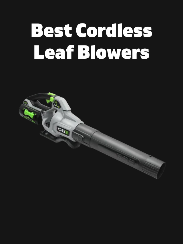 Best Cordless Leaf Blowers